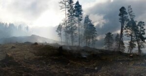 Hayward Wildfire Risk