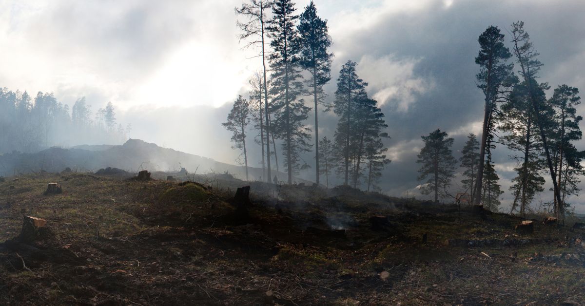 Hayward Wildfire Risk